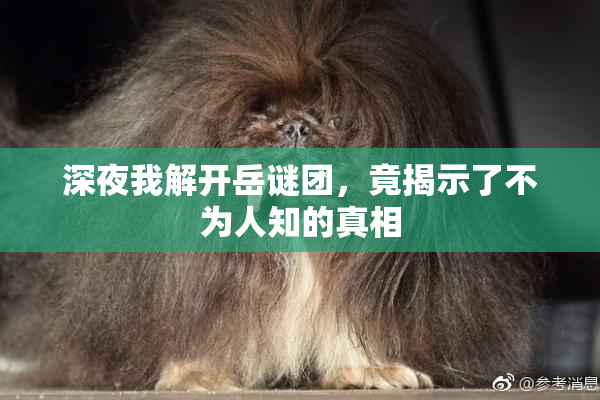 深夜我解开岳谜团，竟揭示了不为人知的真相