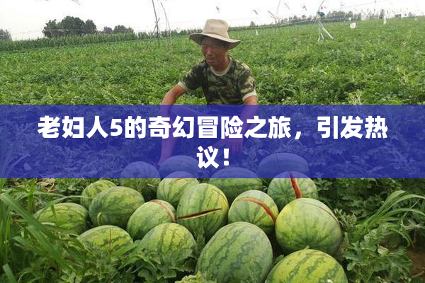 老妇人5的奇幻冒险之旅，引发热议！