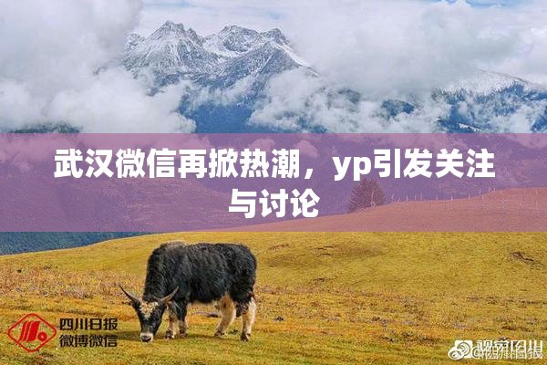 武汉微信再掀热潮，yp引发关注与讨论