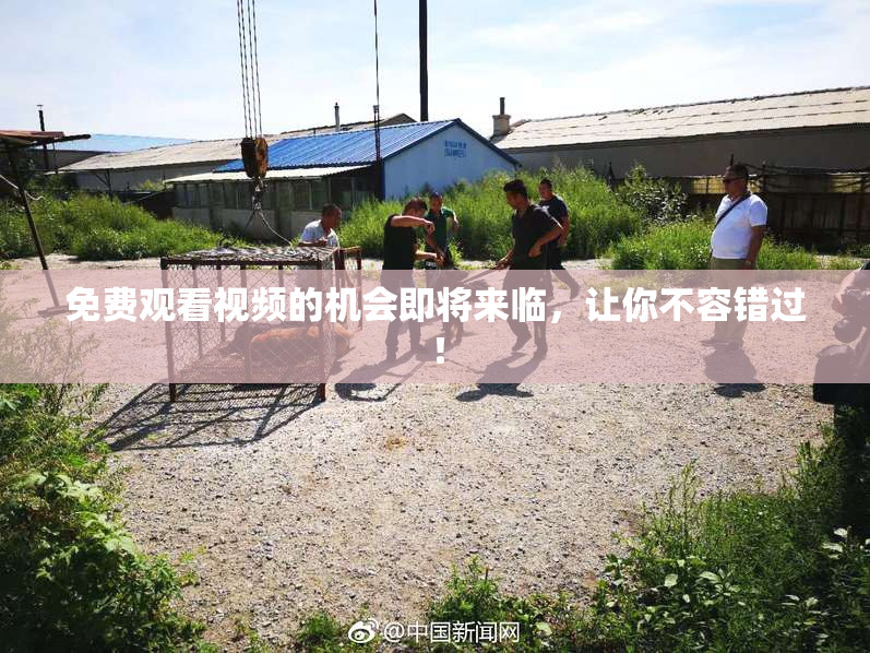 免费观看视频的机会即将来临，让你不容错过！