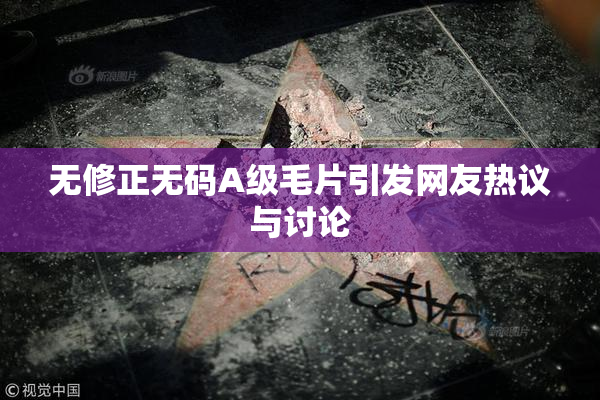 无修正无码A级毛片引发网友热议与讨论