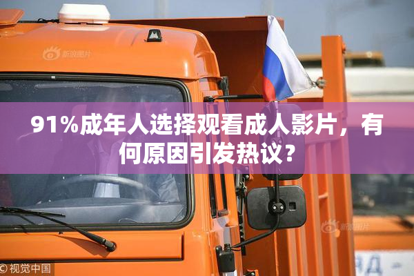 91%成年人选择观看成人影片，有何原因引发热议？