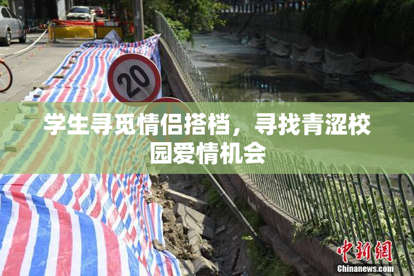 学生寻觅情侣搭档，寻找青涩校园爱情机会