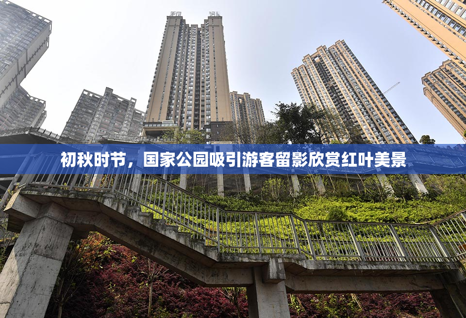 初秋时节，国家公园吸引游客留影欣赏红叶美景
