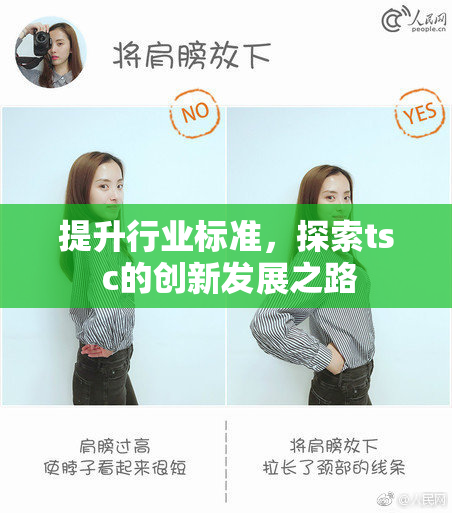 提升行业标准，探索ts c的创新发展之路