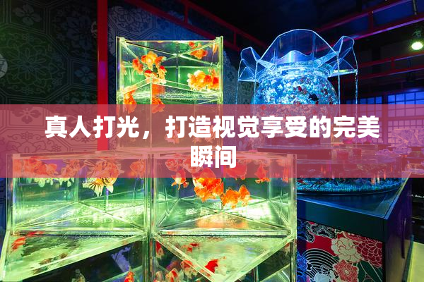真人打光，打造视觉享受的完美瞬间