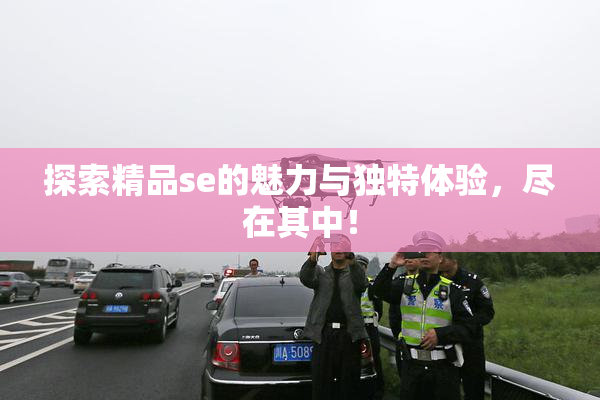 探索精品se的魅力与独特体验，尽在其中！