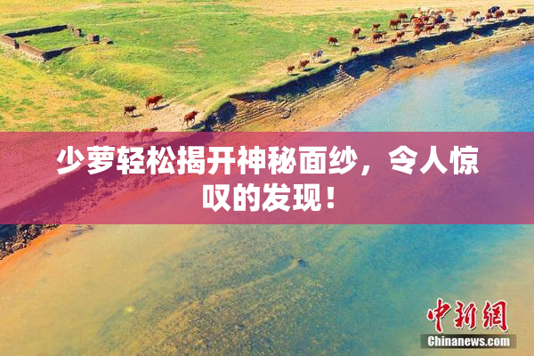 少萝轻松揭开神秘面纱，令人惊叹的发现！