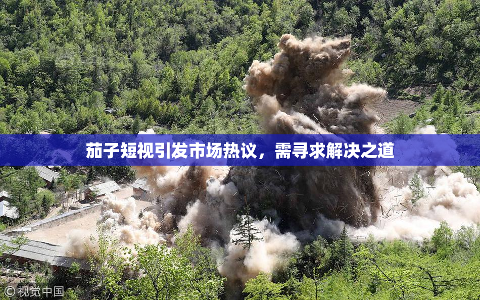 茄子短视引发市场热议，需寻求解决之道