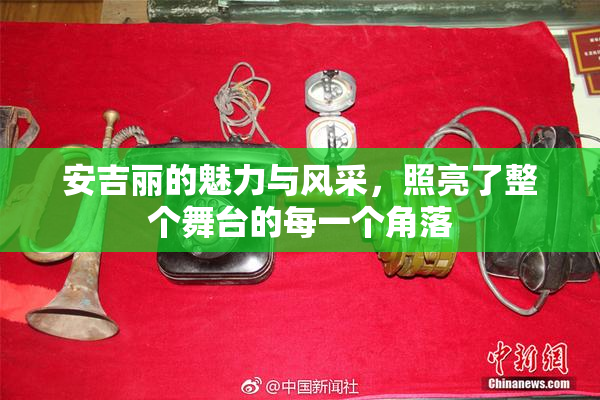 安吉丽的魅力与风采，照亮了整个舞台的每一个角落