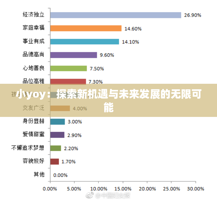 小yoy：探索新机遇与未来发展的无限可能