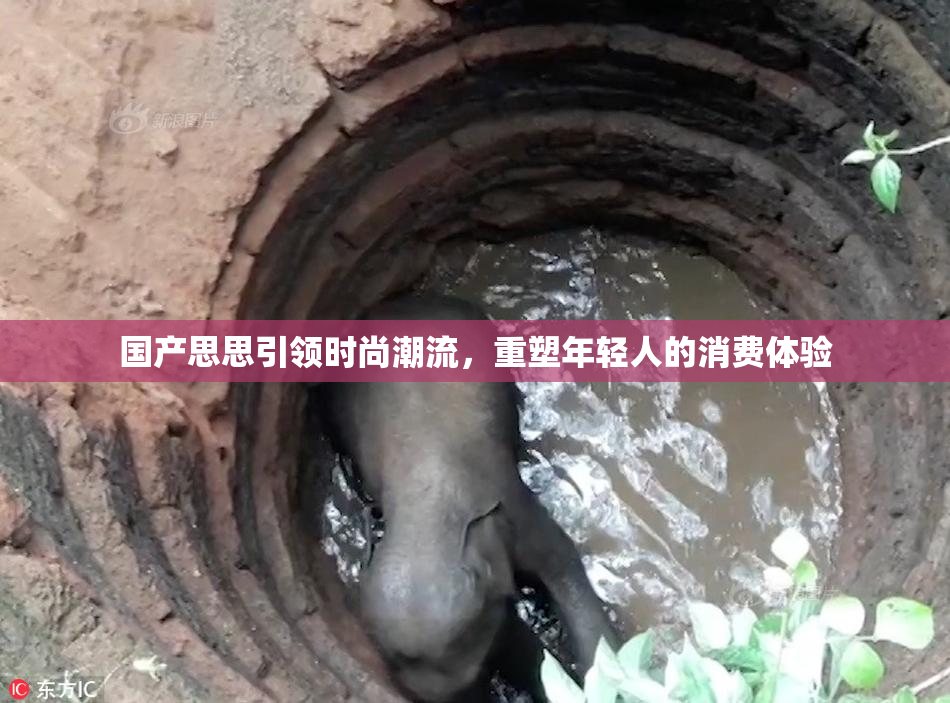 国产思思引领时尚潮流，重塑年轻人的消费体验