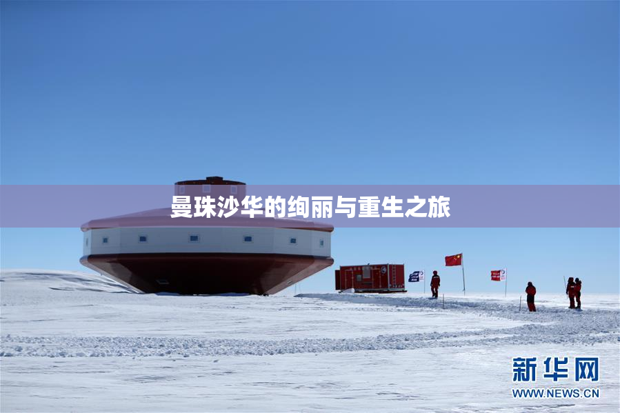 曼珠沙华的绚丽与重生之旅