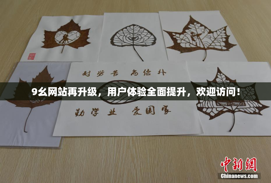 9幺网站再升级，用户体验全面提升，欢迎访问！