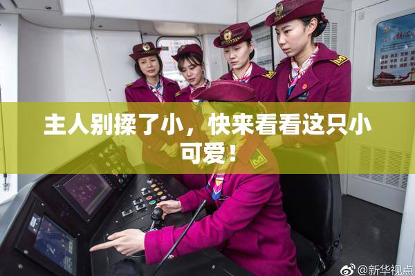 主人别揉了小，快来看看这只小可爱！