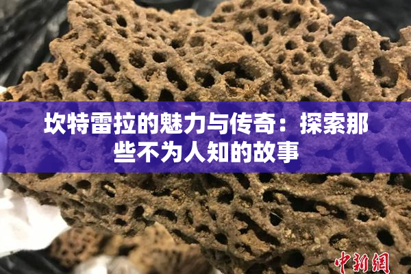 坎特雷拉的魅力与传奇：探索那些不为人知的故事