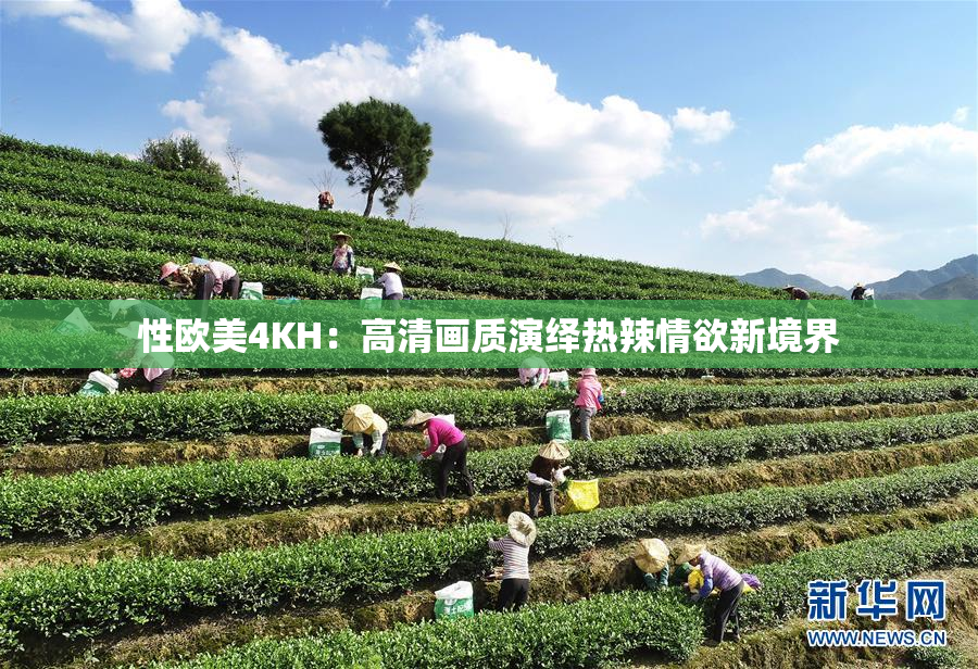 性欧美4KH：高清画质演绎热辣情欲新境界