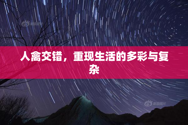 人禽交错，重现生活的多彩与复杂