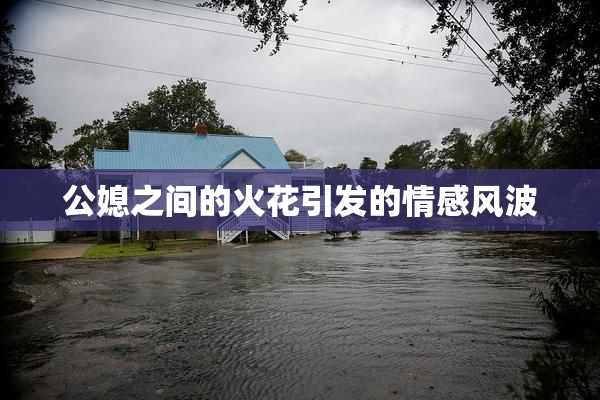 公媳之间的火花引发的情感风波