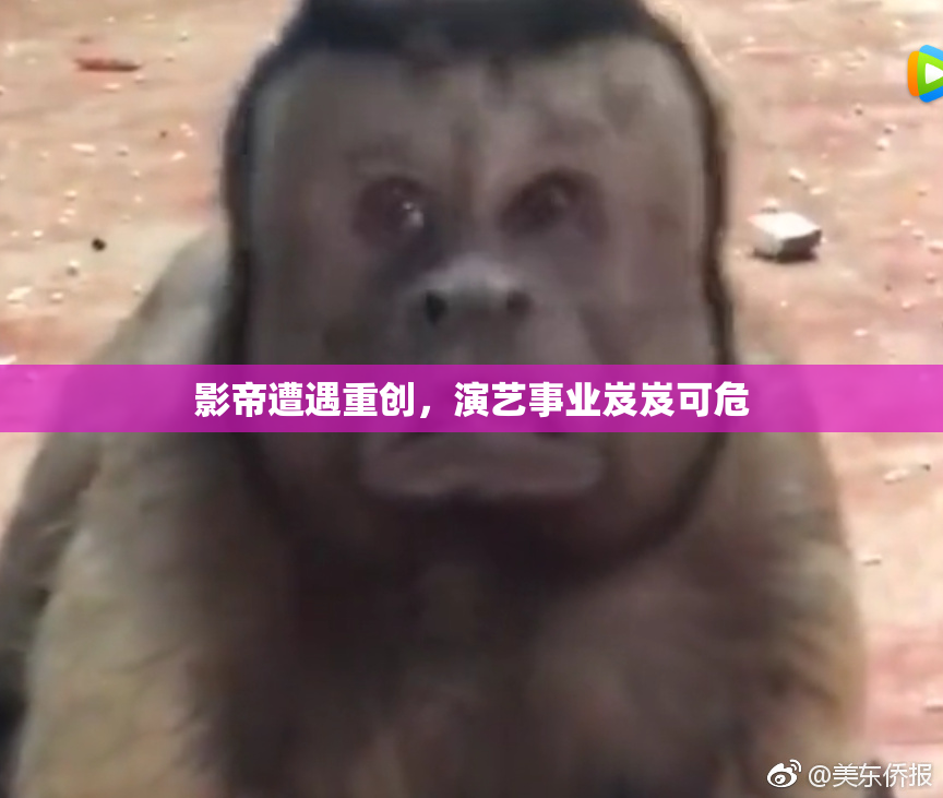影帝遭遇重创，演艺事业岌岌可危
