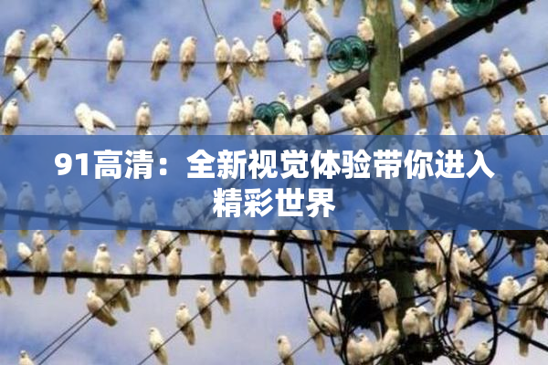 91高清：全新视觉体验带你进入精彩世界