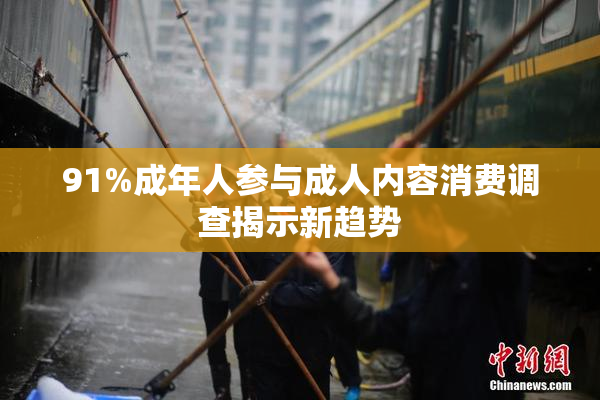 91%成年人参与成人内容消费调查揭示新趋势