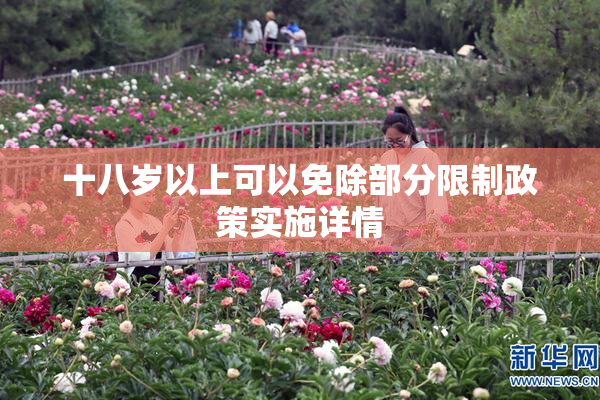十八岁以上可以免除部分限制政策实施详情