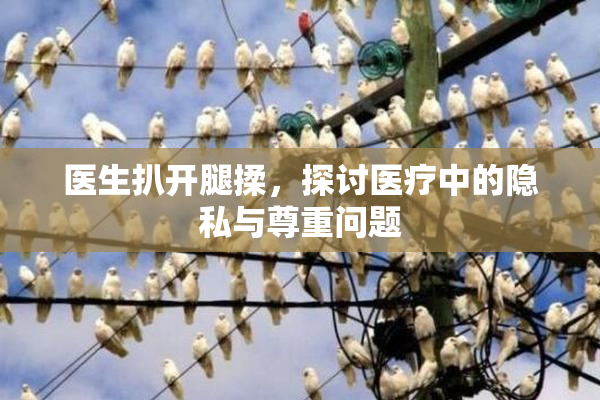 医生扒开腿揉，探讨医疗中的隐私与尊重问题