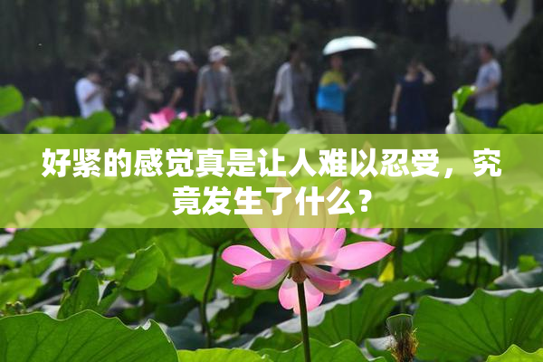 好紧的感觉真是让人难以忍受，究竟发生了什么？