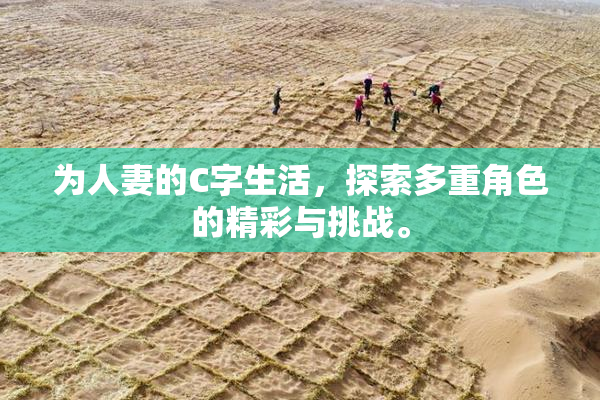 为人妻的C字生活，探索多重角色的精彩与挑战。