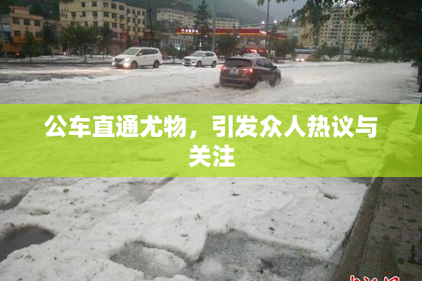 公车直通尤物，引发众人热议与关注