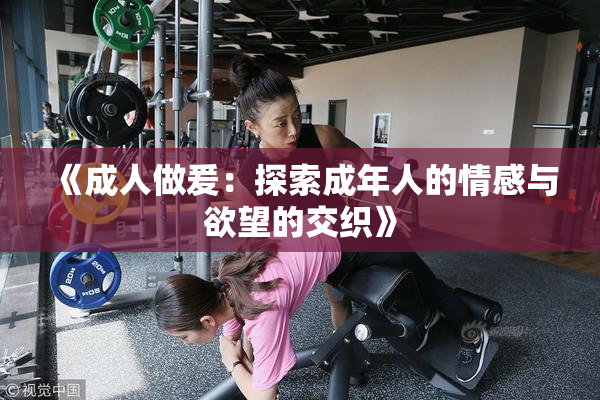 《成人做爰：探索成年人的情感与欲望的交织》
