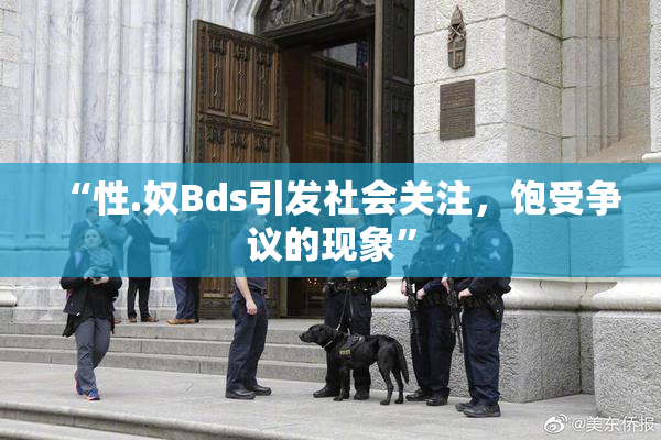“性.奴Bds引发社会关注，饱受争议的现象”