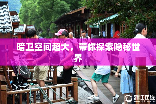 暗卫空间超大，带你探索隐秘世界