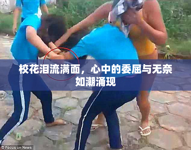 校花泪流满面，心中的委屈与无奈如潮涌现