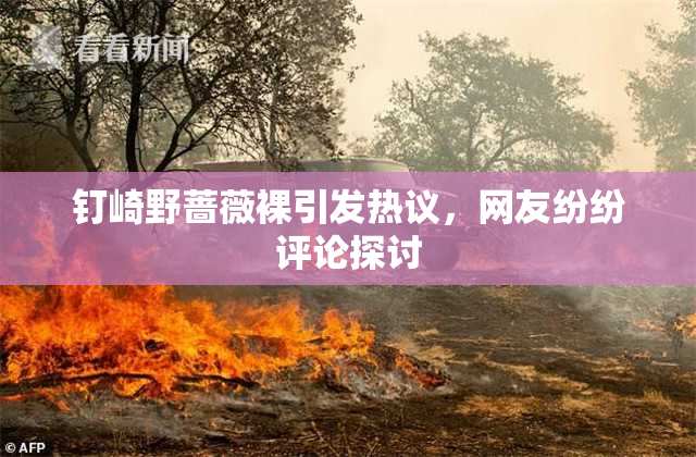 钉崎野蔷薇裸引发热议，网友纷纷评论探讨