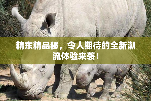 精东精品秘，令人期待的全新潮流体验来袭！