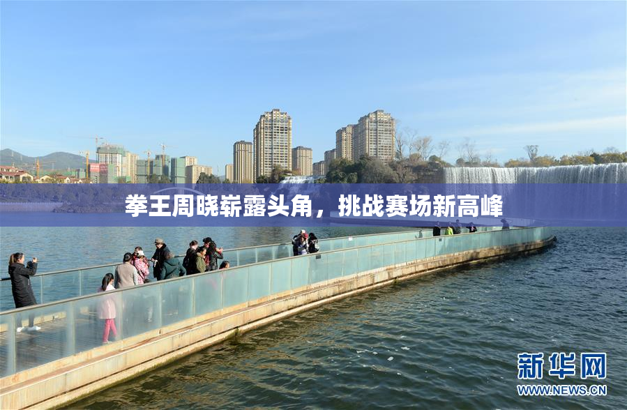 拳王周晓崭露头角，挑战赛场新高峰