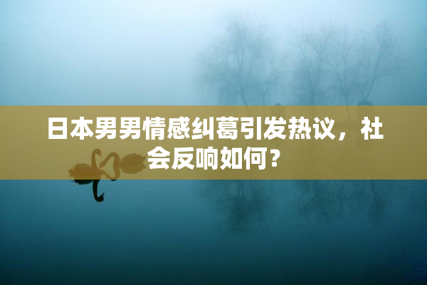 日本男男情感纠葛引发热议，社会反响如何？