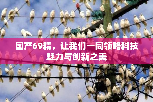 国产69精，让我们一同领略科技魅力与创新之美