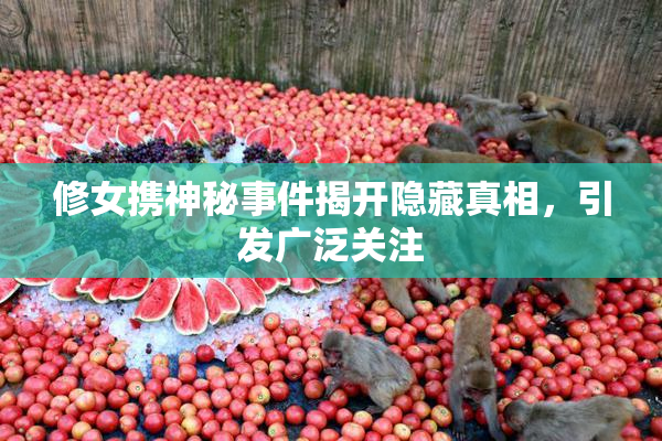 修女携神秘事件揭开隐藏真相，引发广泛关注