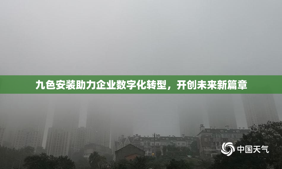九色安装助力企业数字化转型，开创未来新篇章
