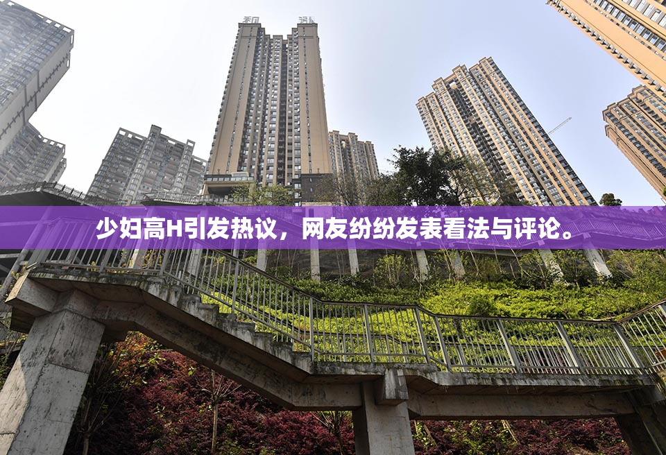 少妇高H引发热议，网友纷纷发表看法与评论。