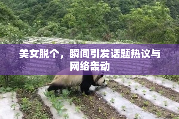 美女脱个，瞬间引发话题热议与网络轰动