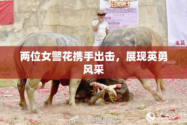 两位女警花携手出击，展现英勇风采