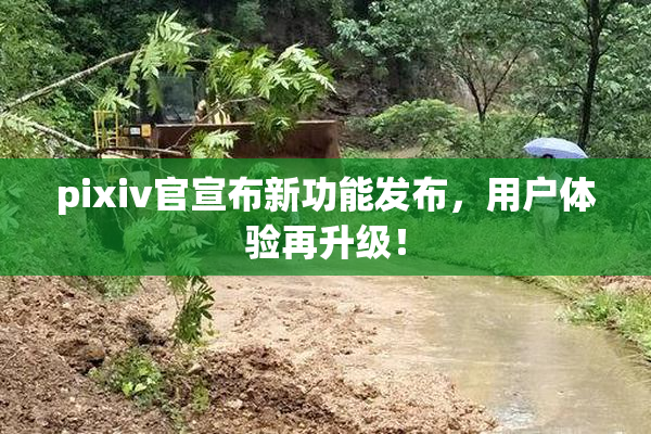 pixiv官宣布新功能发布，用户体验再升级！