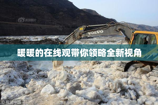 暖暖的在线观带你领略全新视角