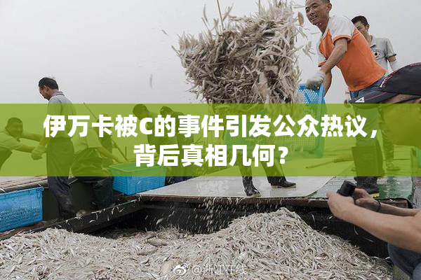伊万卡被C的事件引发公众热议，背后真相几何？