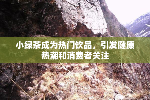小绿茶成为热门饮品，引发健康热潮和消费者关注