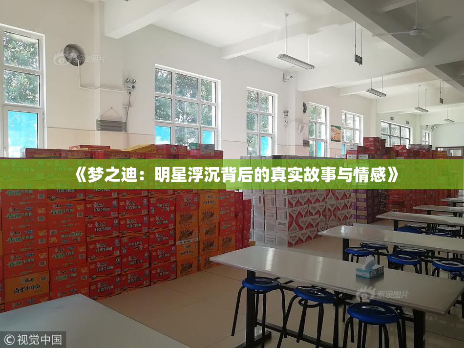 《梦之迪：明星浮沉背后的真实故事与情感》